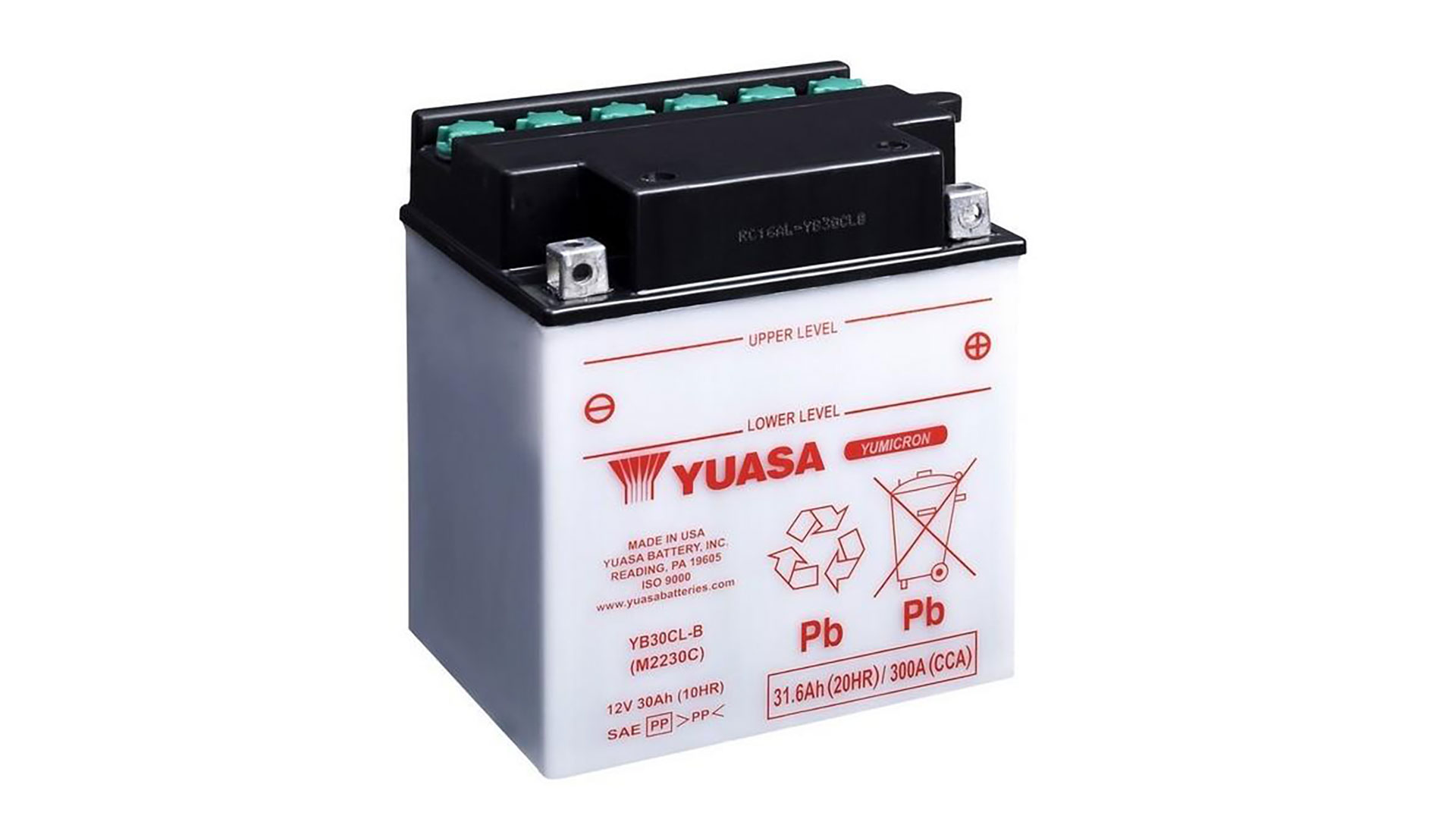  YB30CL-B (DC) 12V Yuasa YuMicron Battery 